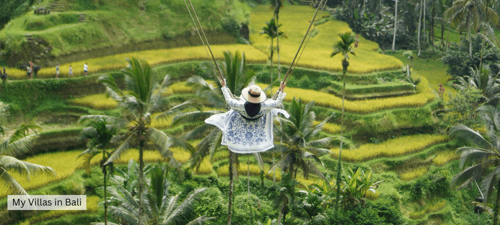 rice terraces in ubud