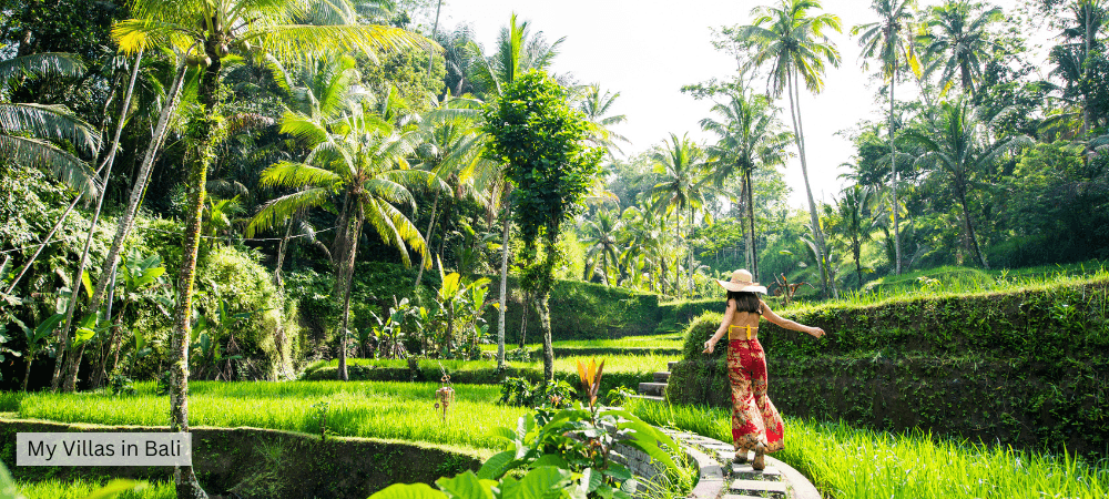 tourist enjoying bali